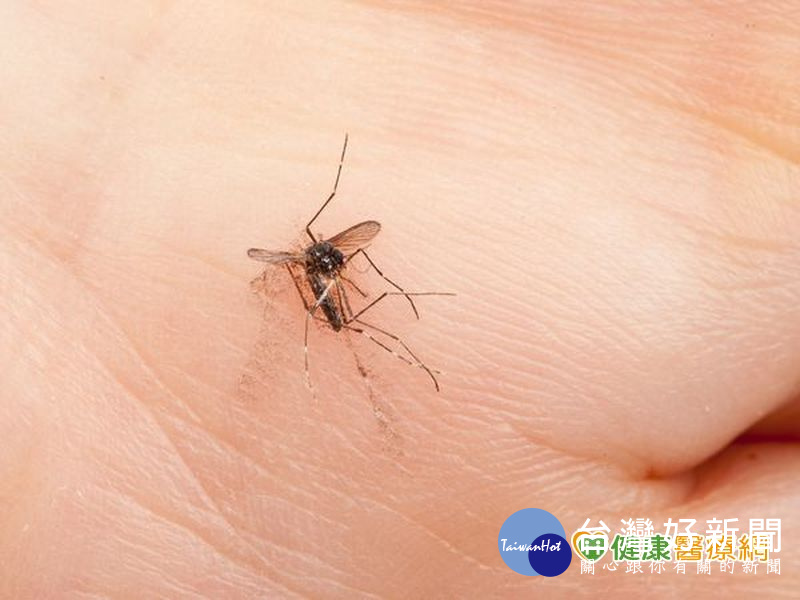日本腦炎又新增兩例！　流行高峰期防蚊叮