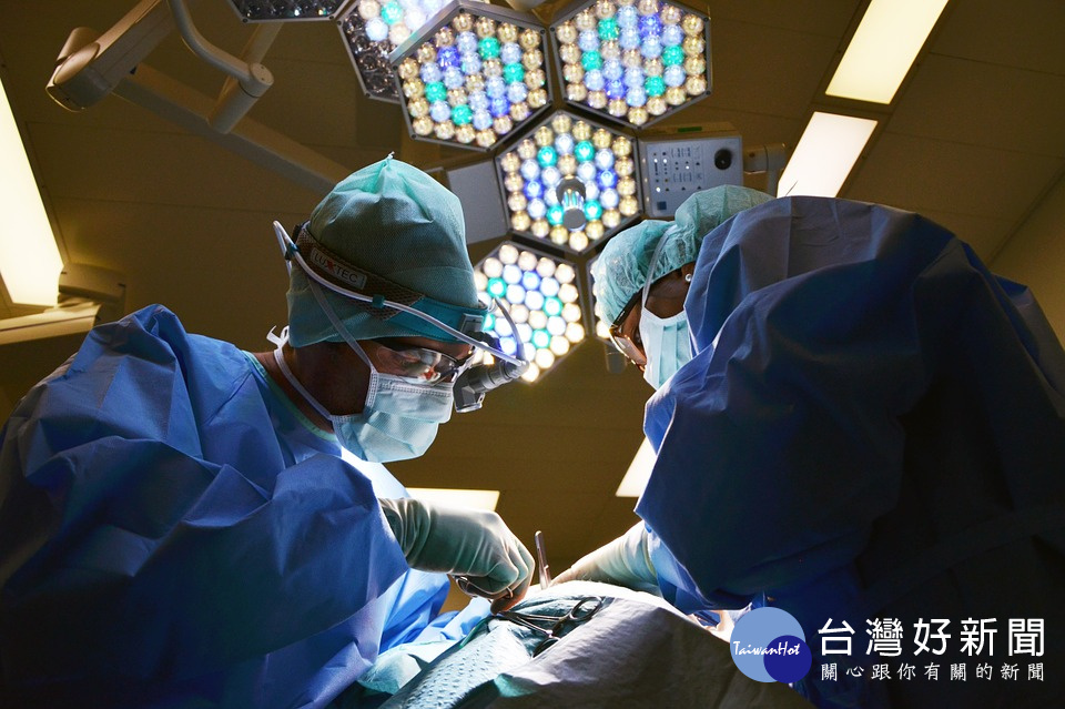 手術同意書將大改版　增列同性伴侶簽署、註明醫師專科