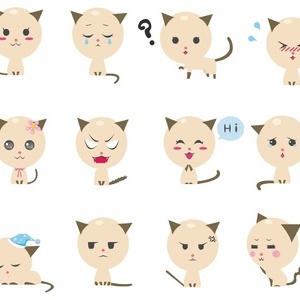 這類蟲子是韓國的流行小吃，3隻蟲子能頂1個雞蛋的營養！