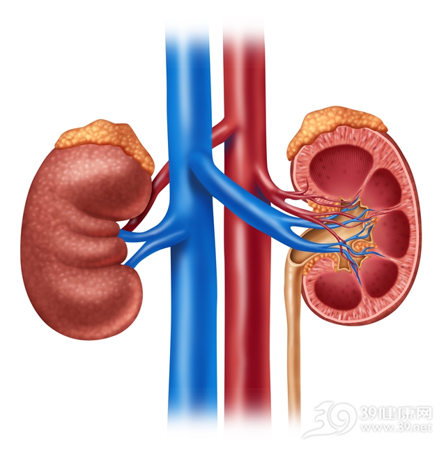 補腎分清這兩種狀況，再嚼一嚼這兩樣東西就行了！
