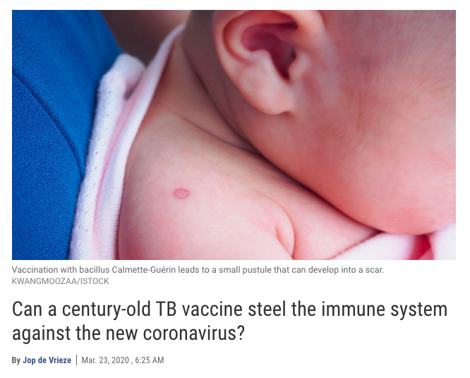 胳膊上有這個“疤”，就不容易感染新冠病毒嗎？