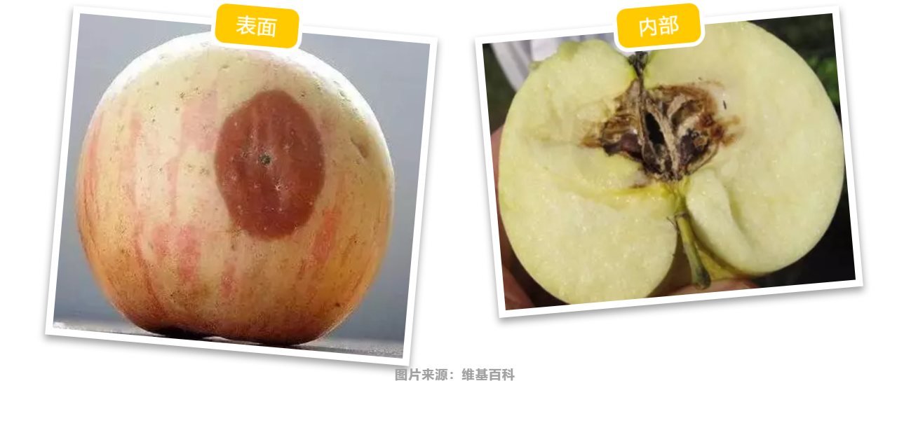 拒絕爛水果，這些細節你可能沒有注意