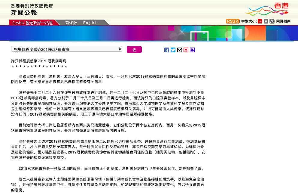 全球首例狗感染新冠病毒確診，會傳染給人嗎？