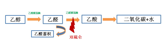 過年了，吃了哪些葯以後，絕對不要喝酒？
