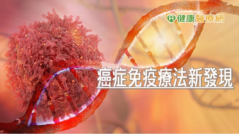 癌症免疫療法新發現　中研院研發新抗體