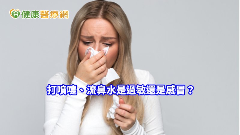 打噴嚏、流鼻水是過敏還是感冒？　2招分辨_內視鏡拉皮